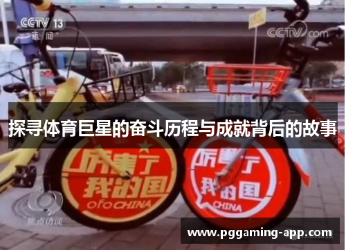 探寻体育巨星的奋斗历程与成就背后的故事